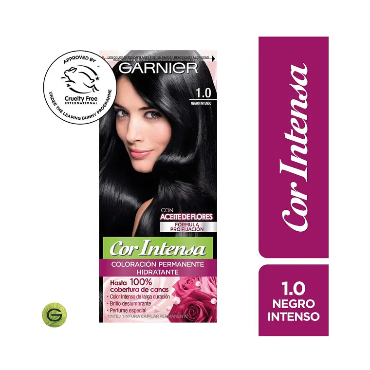 Tintura Cor Intensa Negro Intenso 1.0 45 G - GARNIER 1