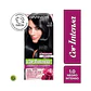 Tintura Cor Intensa Negro Intenso 1.0 45 G - GARNIER - Miniatura 1