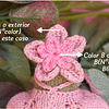 Gorrito de flor para ranitas