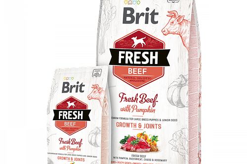 Brit Fresh Vacuno y Calabaza