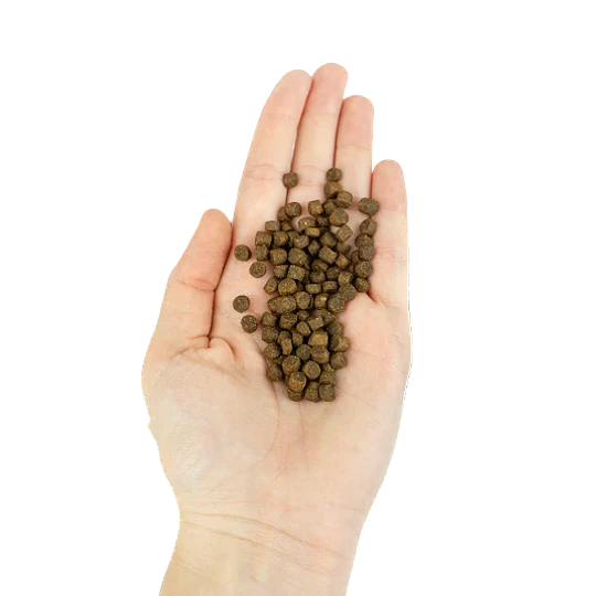 Lenda Gatitos Kitten 2kg Pollo Pescado GF