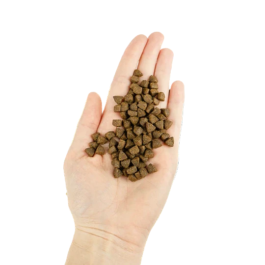 Lenda Gato Adulto & Senior Urinario y Esterilizados 2kg GF