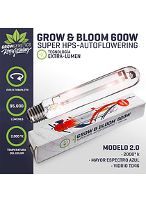 Ampolleta Grow & Bloom 600W
