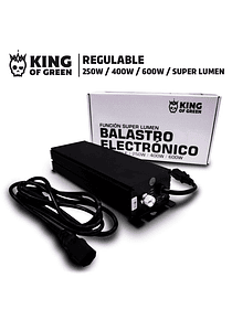 Balastro electrónico regulable E 600W 