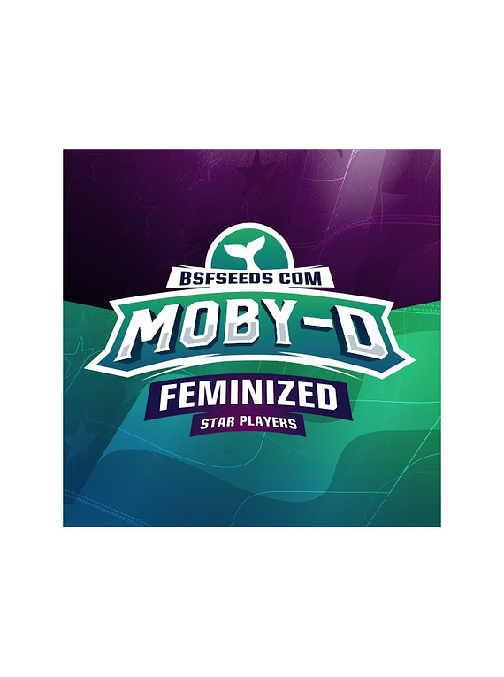 MOBY-D FEM x 2