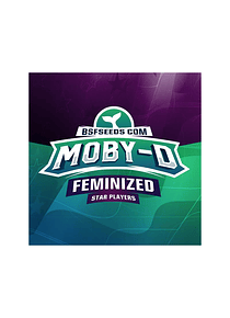 MOBY-D FEM x 7