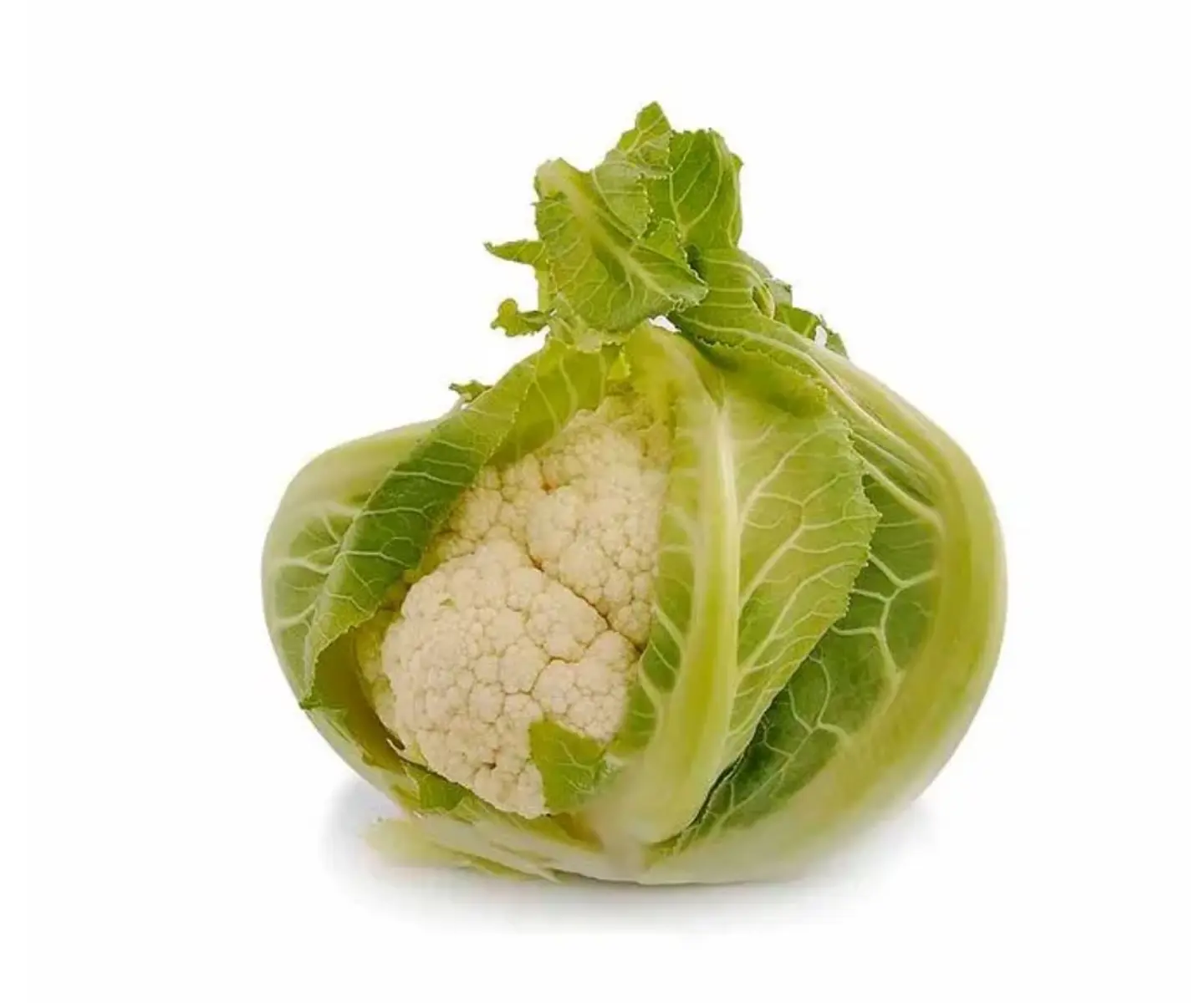 Coliflor (500 grs)  1