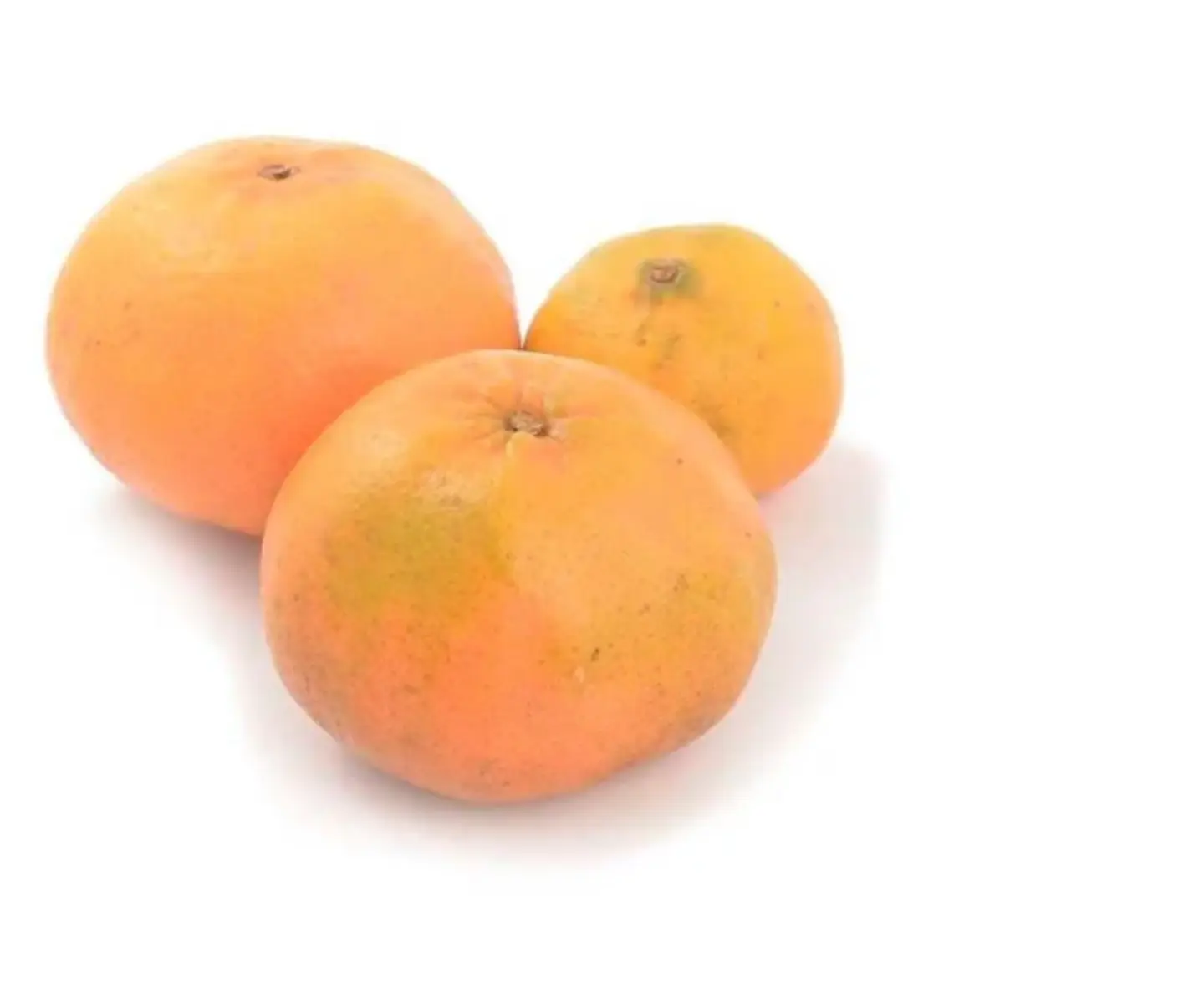Mandarina (500 hrs) 1