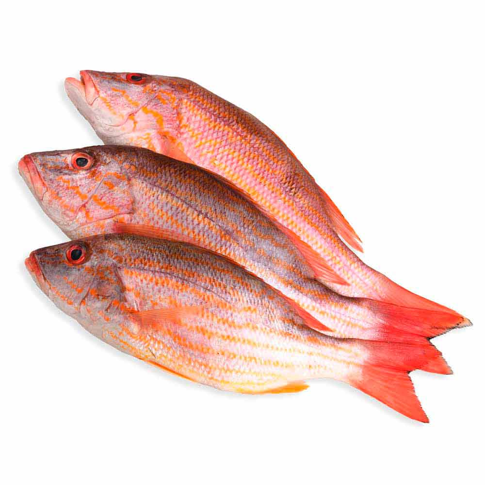 Pargo Rojo Libra (500 grs)