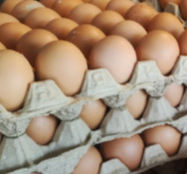 Huevos Tipo AA (30 Uds)