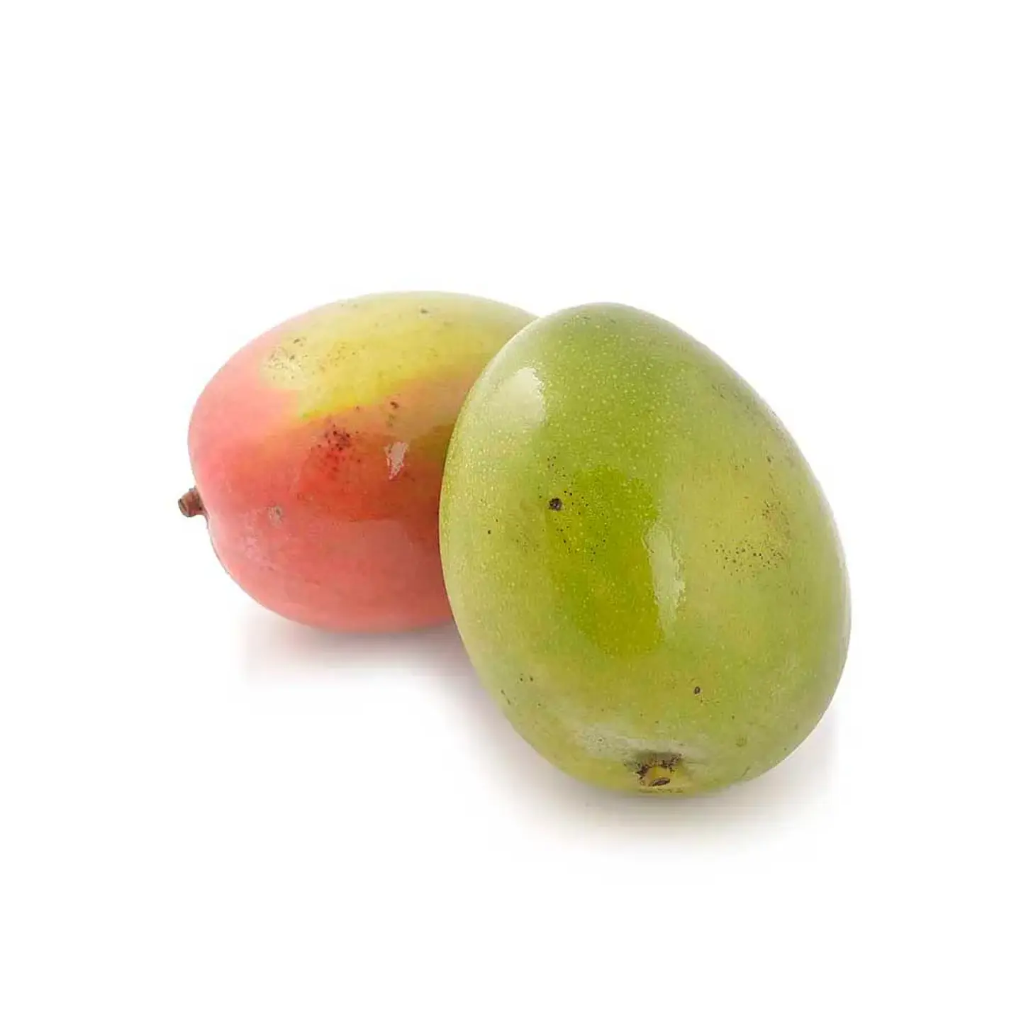 Mango Tommy (500 grs) 1
