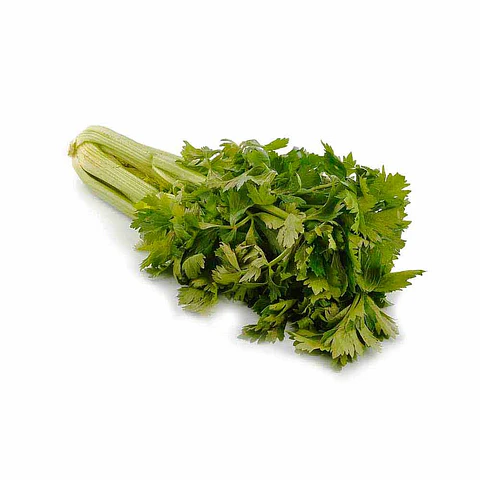 Apio (500 grs) 