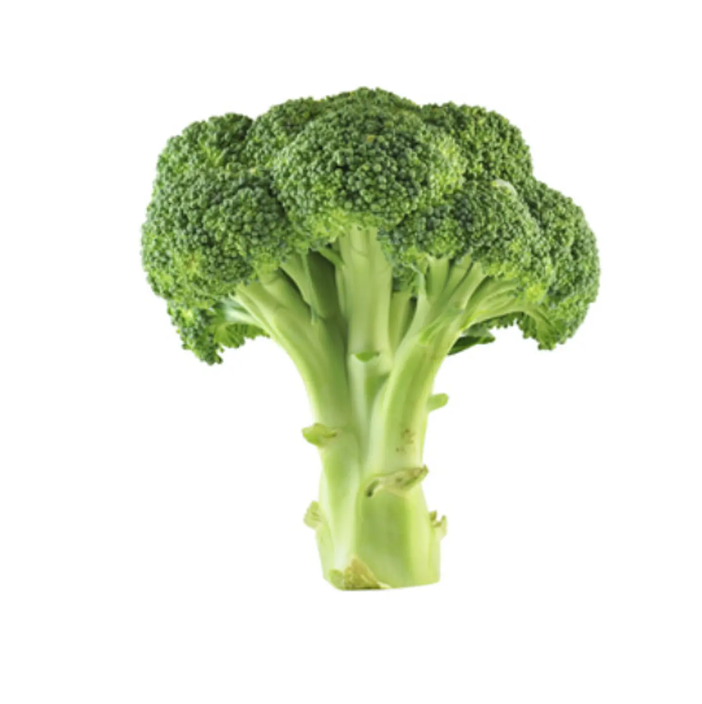 Brócoli 1 kg 1