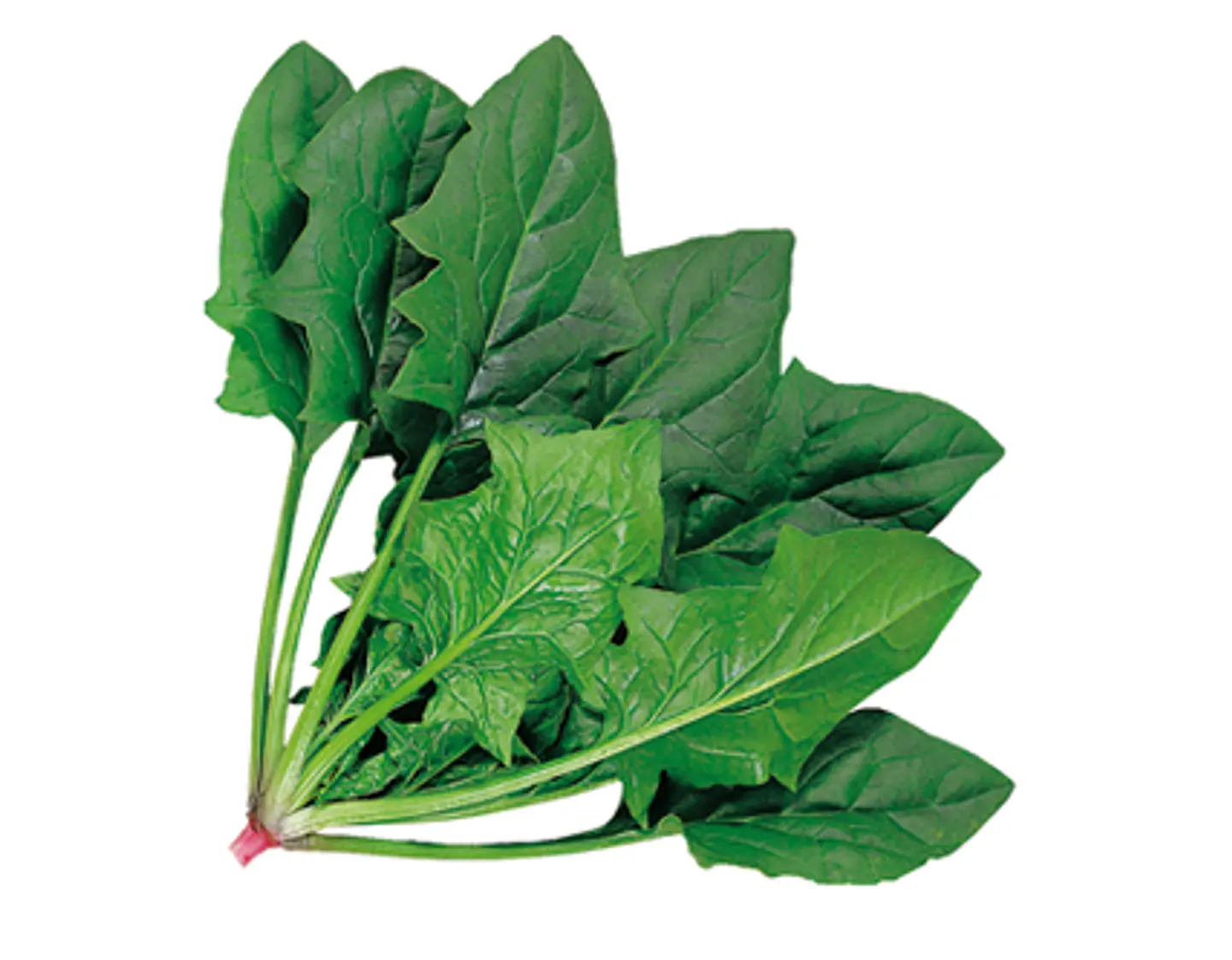Espinaca 1 kg 1