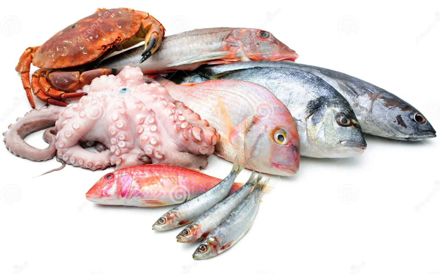 Mariscos Precocidos Libra (500 grs) 1