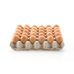 Bandeja Huevo Primera x30 (Ariztia)