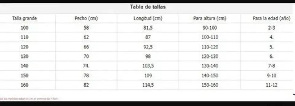 Disfraz Mirabel Encanto  4