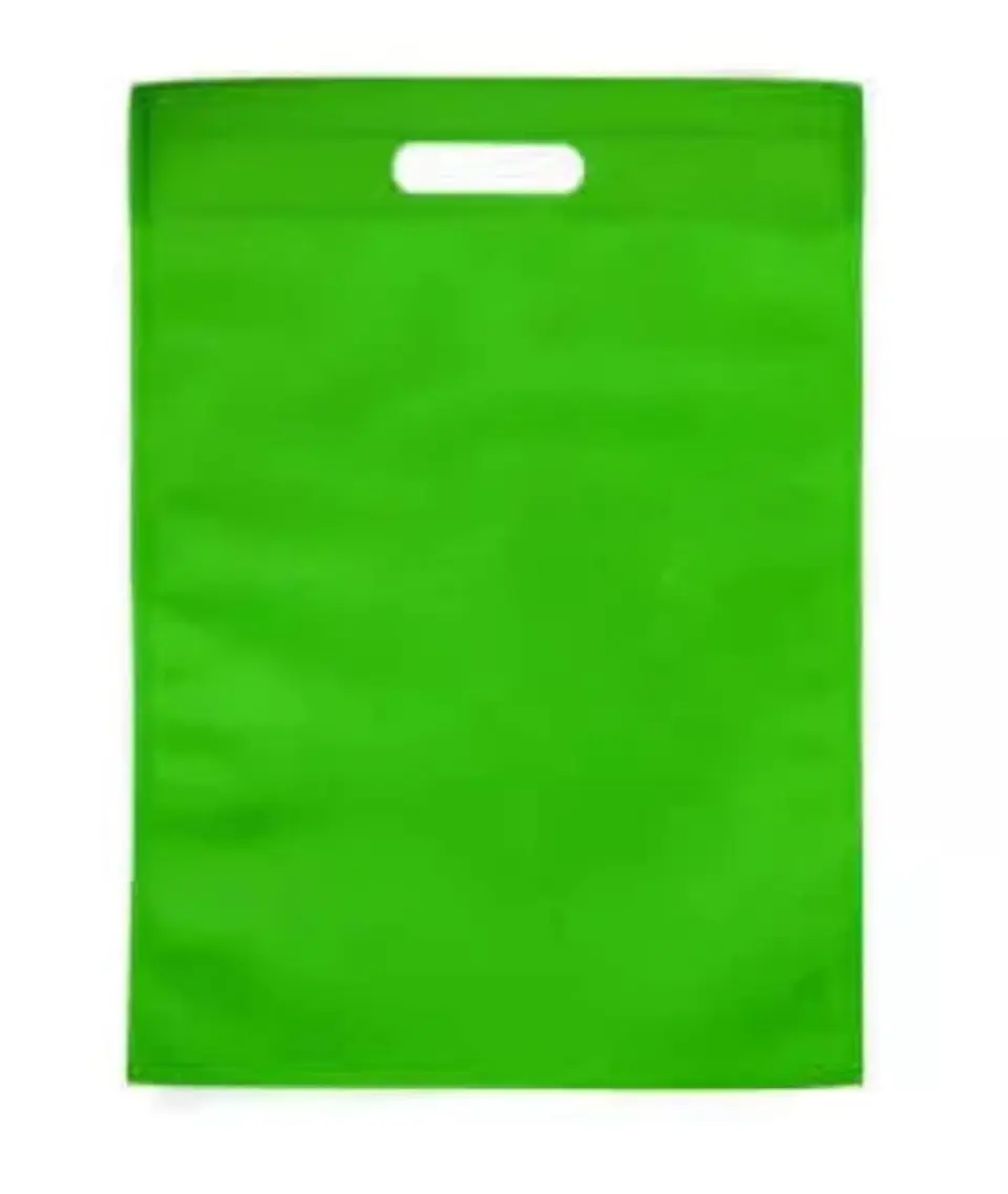 Bolsas TNT color verde 10 unidades 1