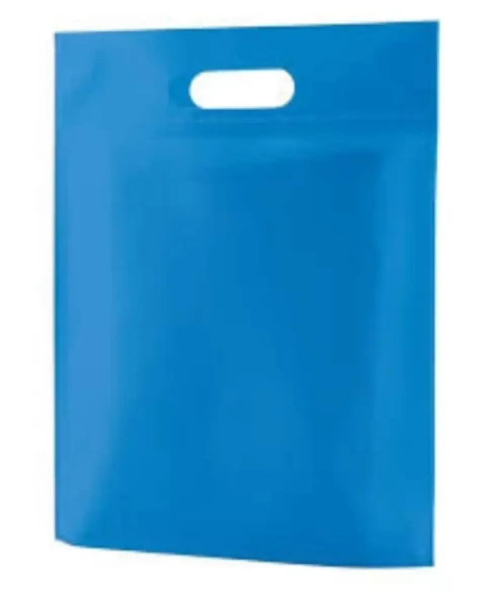 Bolsas TNT color celeste 10 unidades 1