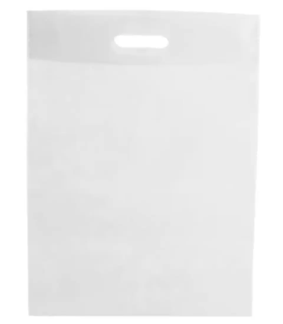 Bolsas TNT color blanco 10 unidades 1