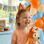 Cintillo diadema Bingo