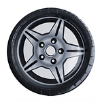 Platos rueda 6 unidades 