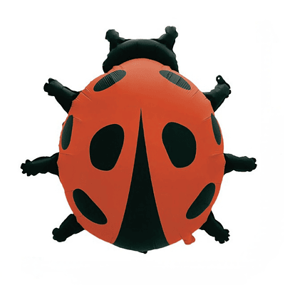 Globo Chinita grande 84 cm