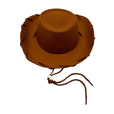 Sombrero woody vaquero infantil 