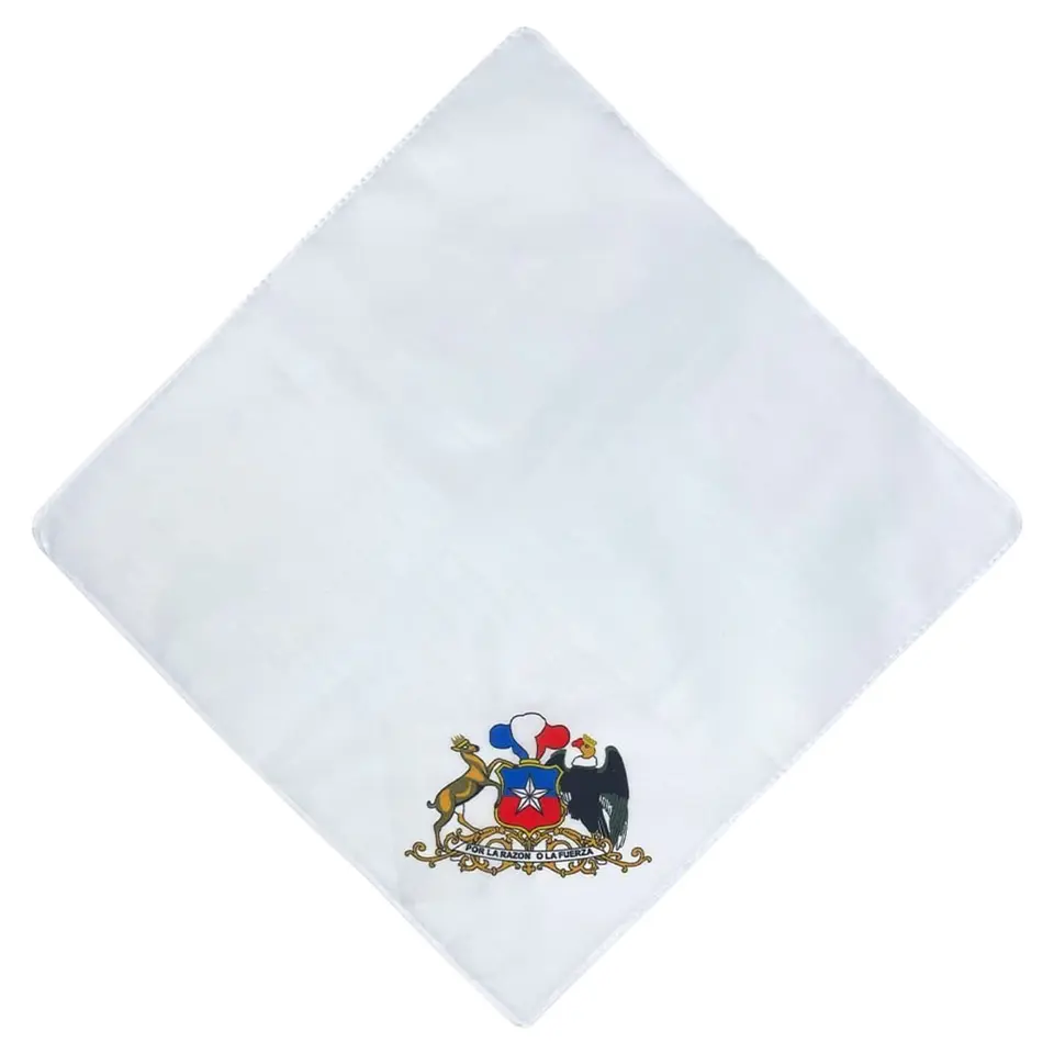 Pañuelos estampados fiestas patrias 12 unidades 4