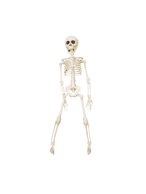 Adorno Esqueleto 40 Cm