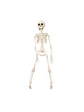 Adorno Esqueleto 40 Cm - Miniatura 1