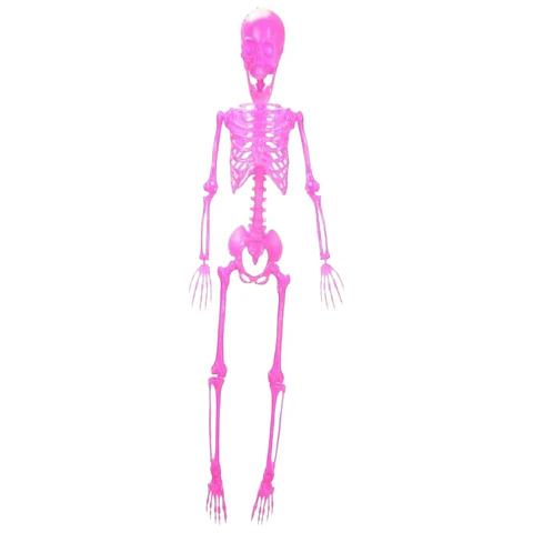 Esqueleto fucsia colgante 60 cm