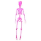 Esqueleto fucsia colgante 60 cm - Miniatura 1