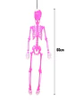 Esqueleto fucsia colgante 60 cm - Miniatura 2