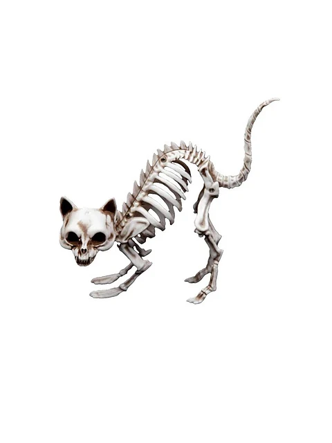Adorno Esqueleto Gato 19 Cm