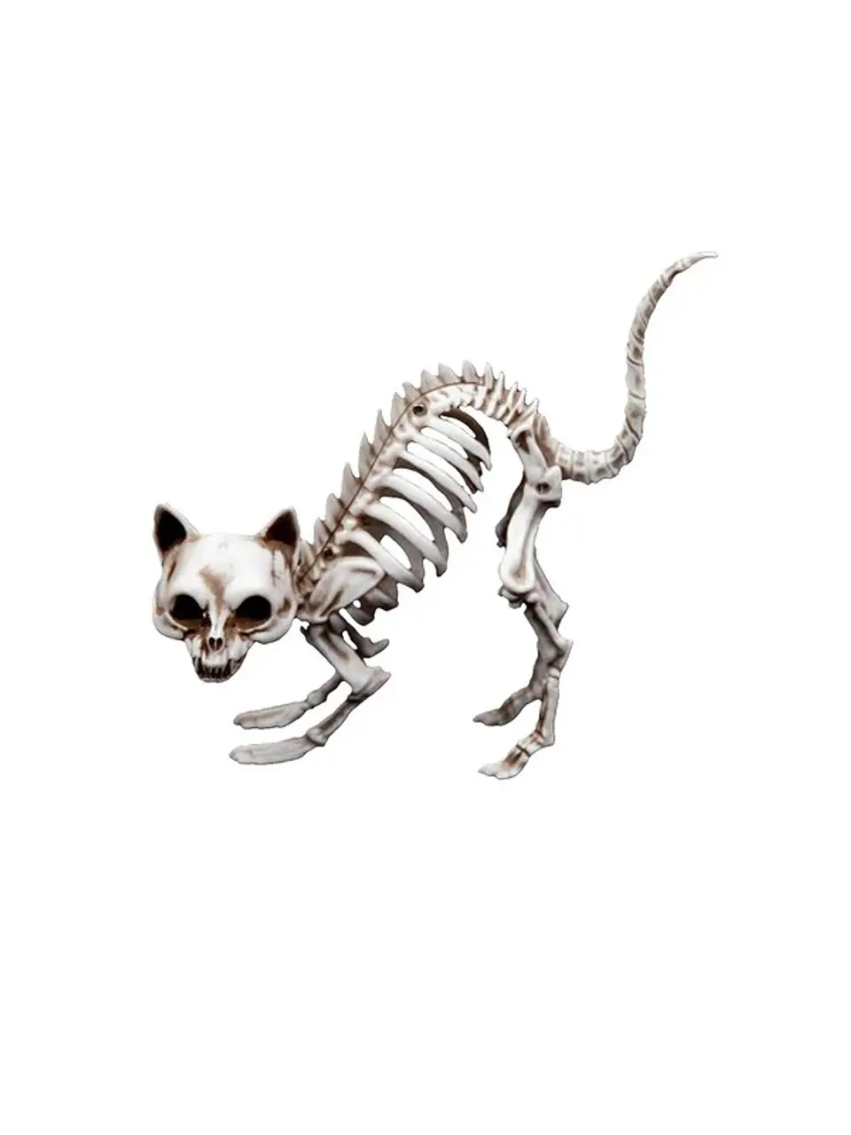 Adorno Esqueleto Gato 19 Cm 1