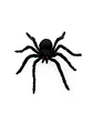 Araña Negra Chica 70 cm - Miniatura 1
