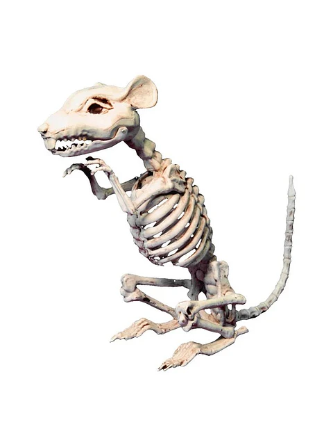 Esqueleto Raton 33 cm