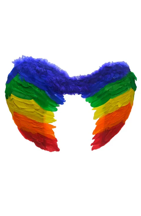 Alas De Ángel Arcoiris Infantil