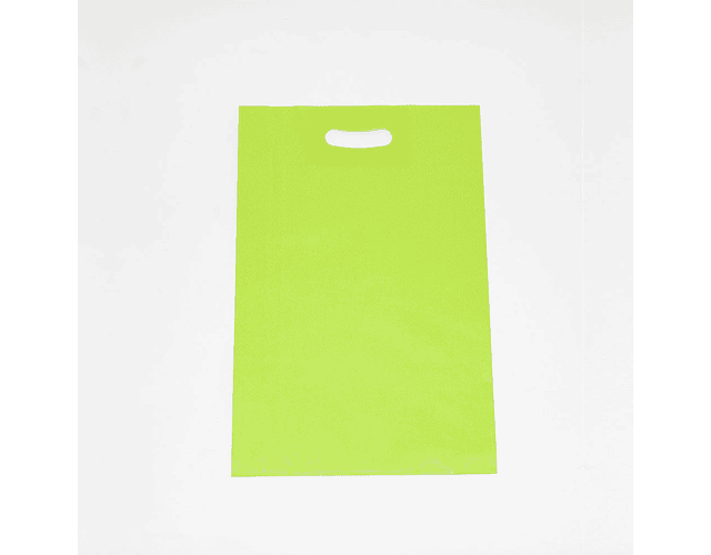 Bolsa boutique 20x30cm VERDE PISTACHO. 50 pcs