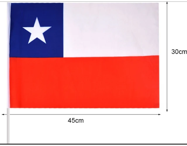Bandera con palo 30x45cm