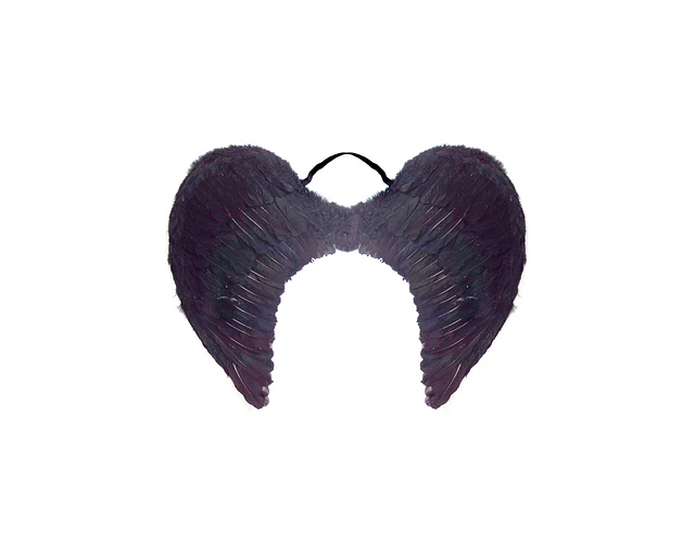 Alas de Angel Pluma Negro 60 X 45 Cm