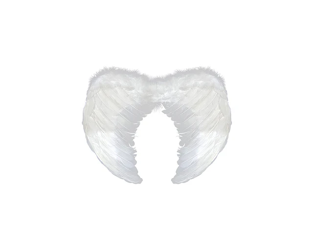 Alas de Angel Pluma blanco 60 X 45 Cm