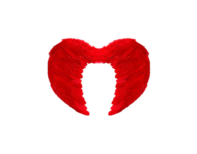 Alas de Angel Pluma Rojo 60 X 45 Cm