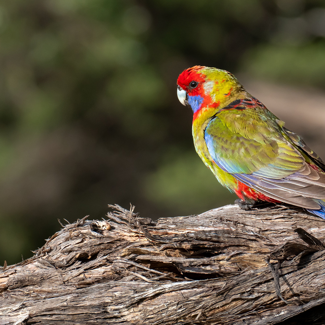 Producto de prueba 1