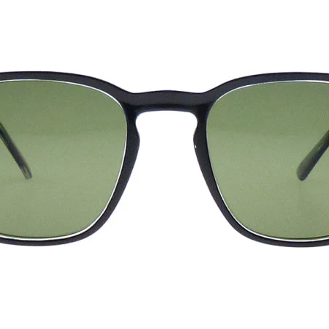 VERTE  Polarizado VE395 2