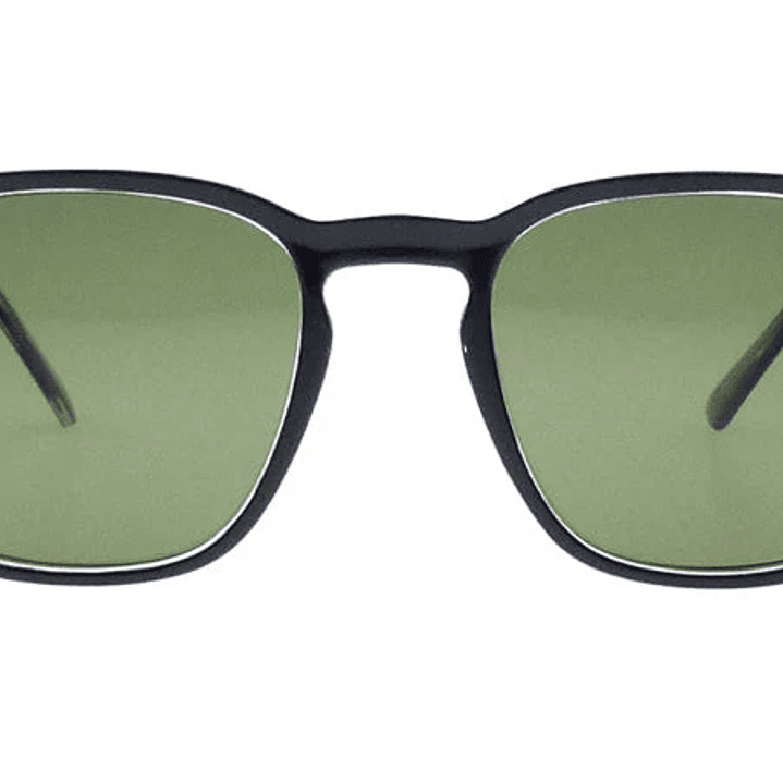 VERTE  Polarizado VE395 2