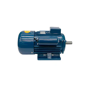 Motor 2 HP 220V