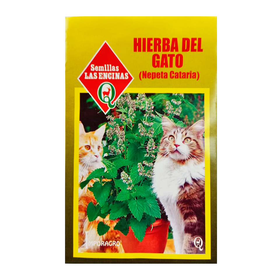 Semillas Catnip O Menta De Gato