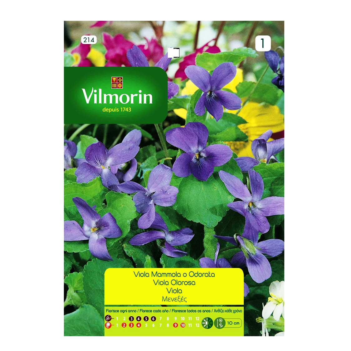 Semillas Violeta Olorosa
